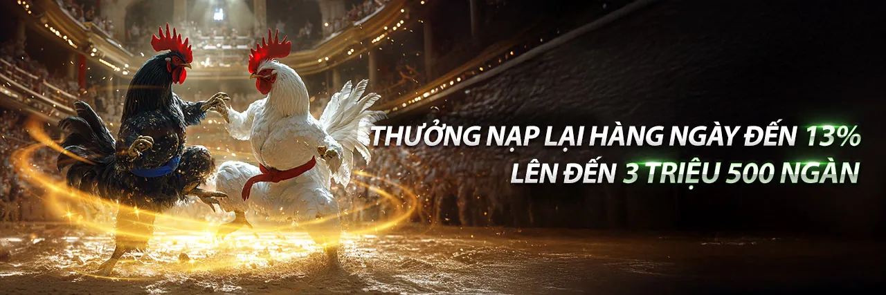 Lịch sử và văn hóa đá gà Việt Nam